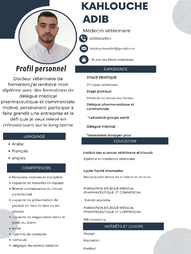 CV Kahlouche Adib VM | PDF