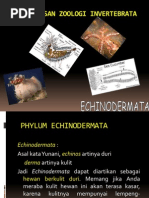 Download PEMBAHASAN ZOOLOGI INVERTEBRATA by Acca Zuko SN92194841 doc pdf