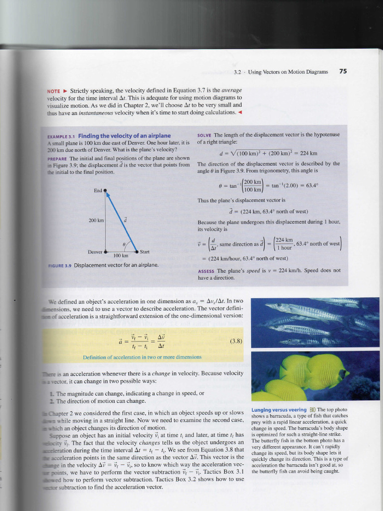 Physics 1 - Examples 2 | PDF