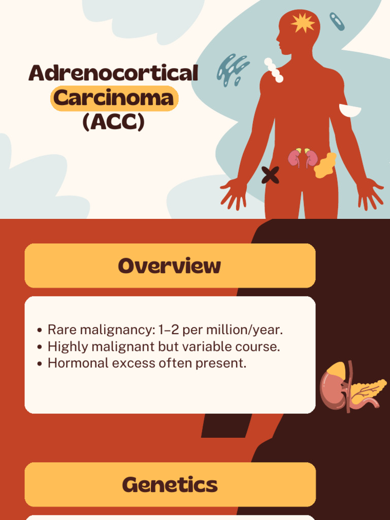 Adrenocortical Carcinoma Overview and Management | PDF | Endocrine ...