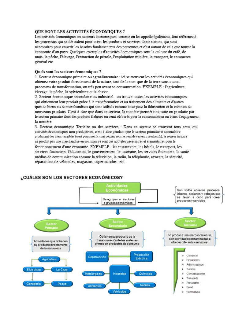 Les Secteurs des Activités Économiques | PDF