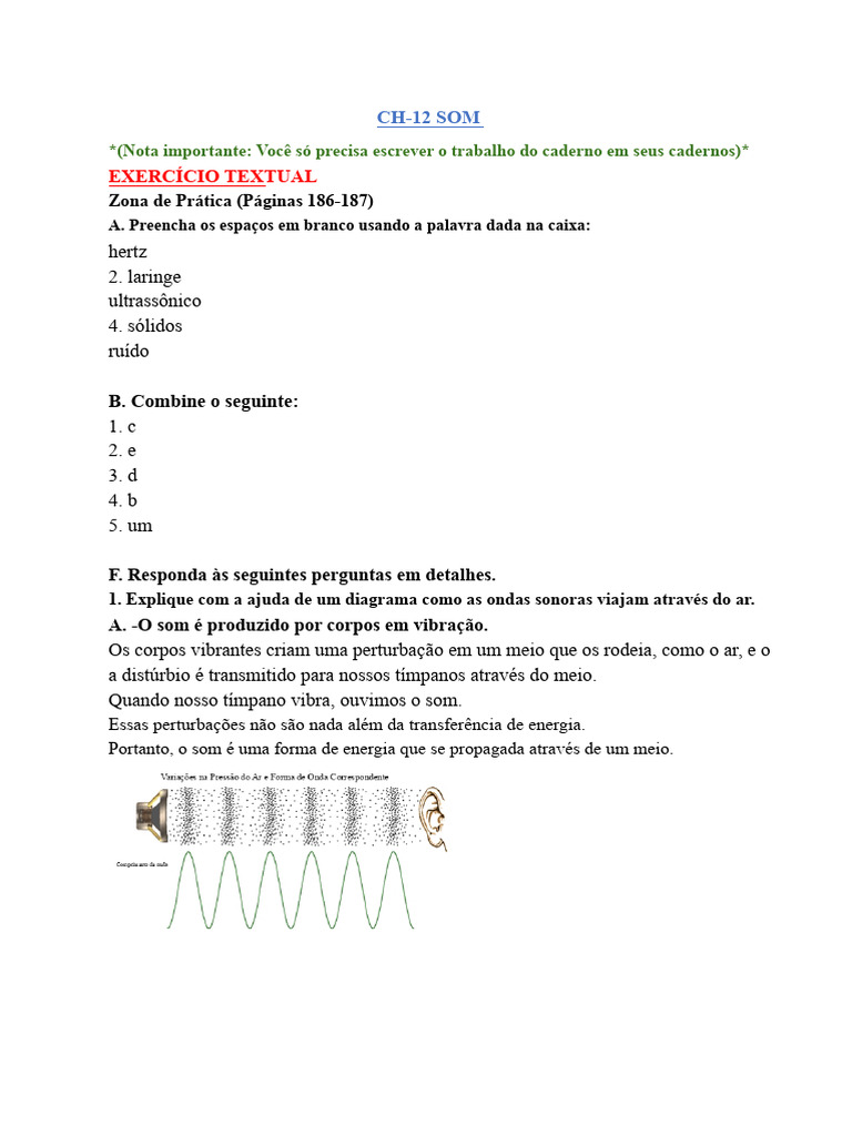 Entendendo o Som: Ondas e Poluição Sonora | PDF | Som | Ondas