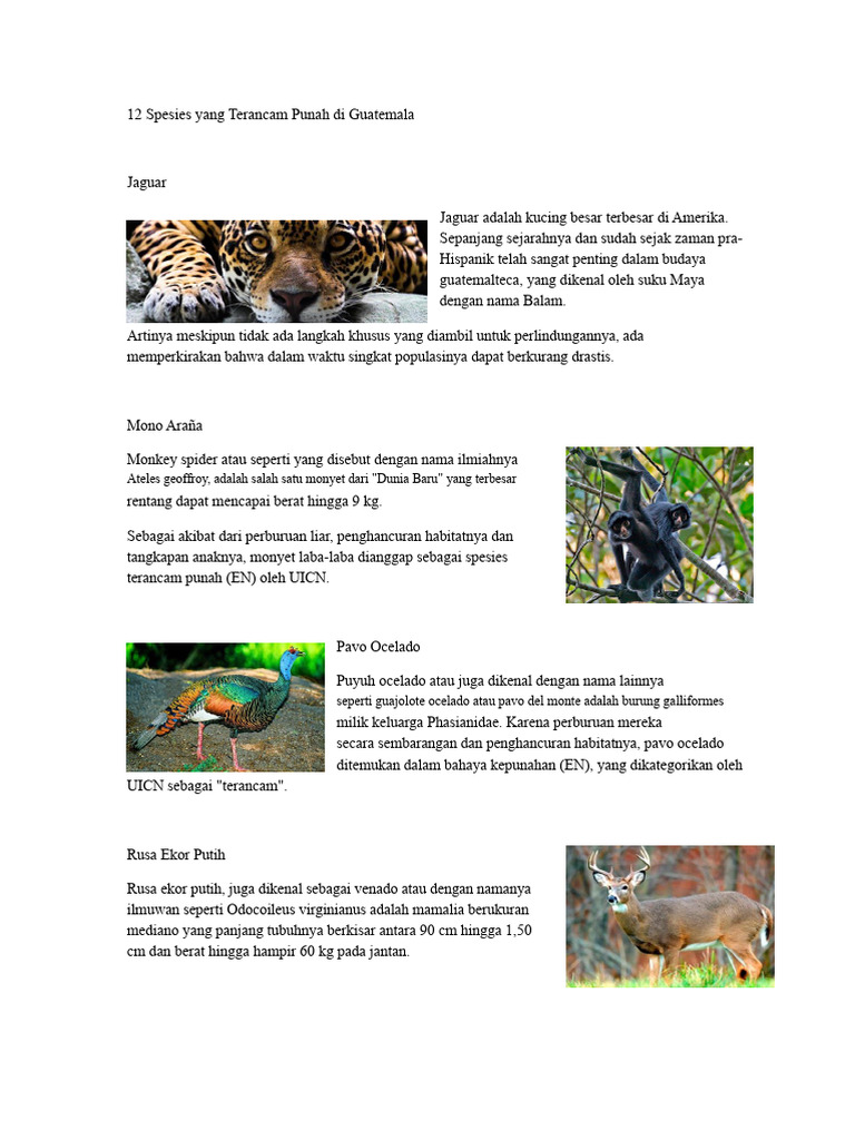Spesies Terancam Punah di Guatemala | PDF