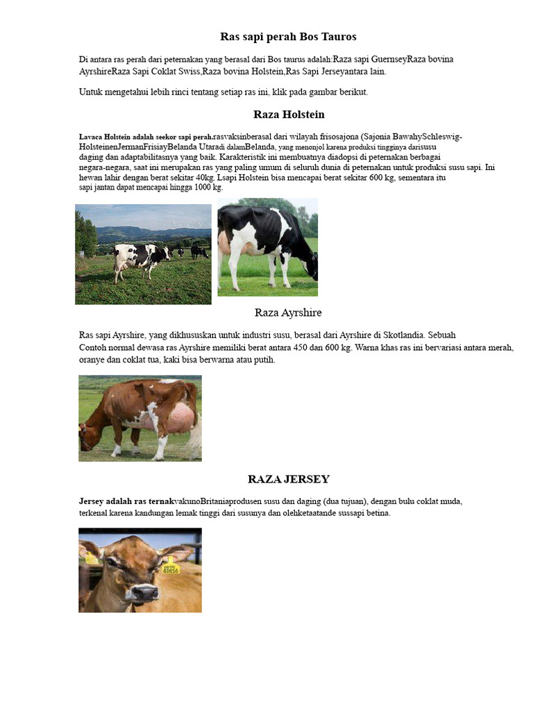 Ras Sapi Perah Populer di Dunia | PDF