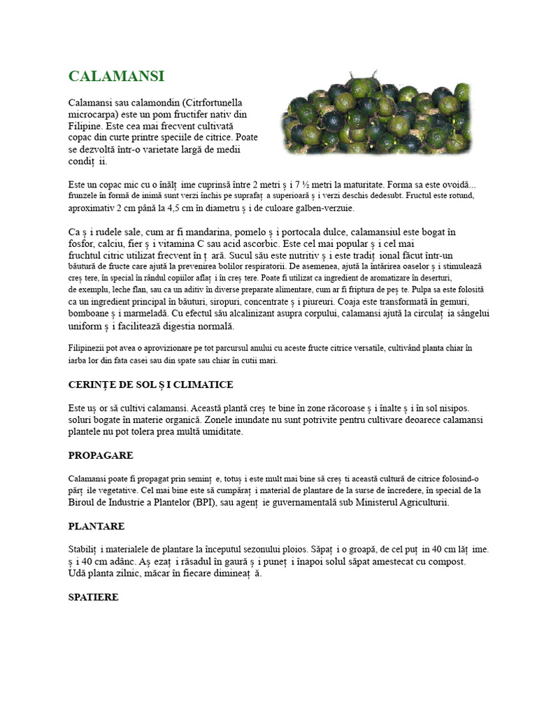 Calamansi | PDF