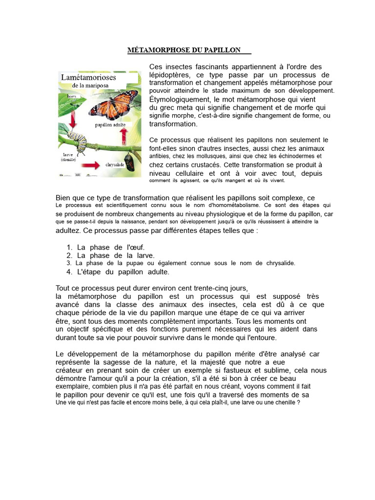 Métamorphose du Papillon Étapes Clés PDF Lépidoptères Insectes — free download