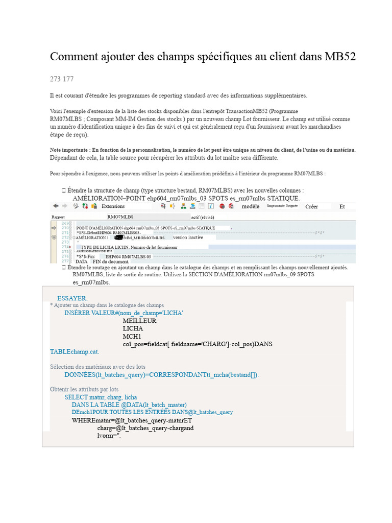 Ajouter un champ client dans MB52 | PDF | Structure de contrôle ...
