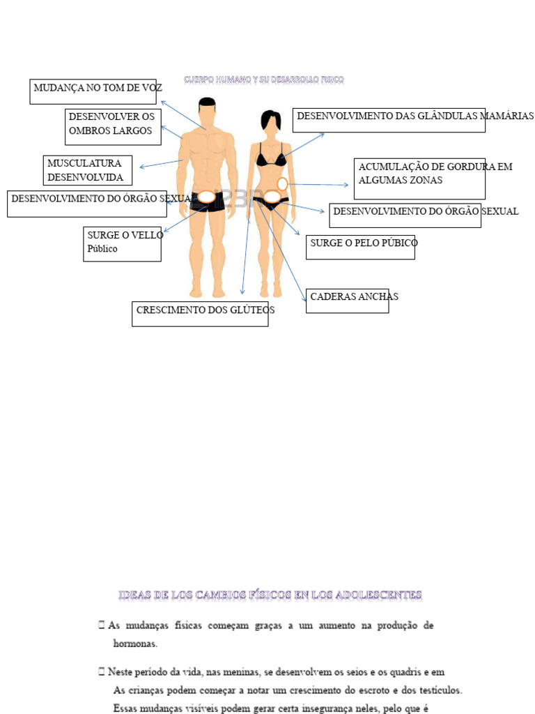 Mudanças Físicas na Puberdade | PDF