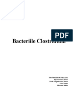Bacteriile Clostridium