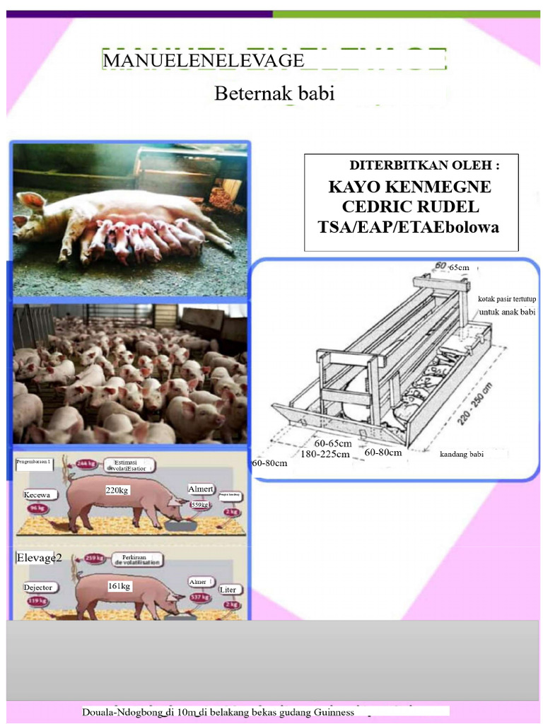 Manual Pig Farming 3 | PDF