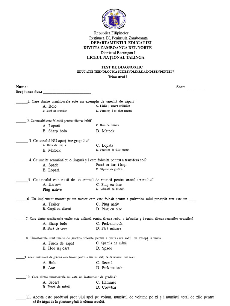 Test de Diagnostic TLE 7 | PDF