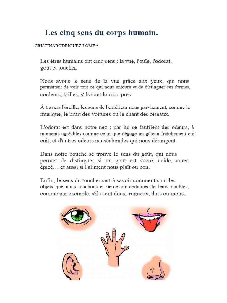 Les cinq sens du corps humain | PDF