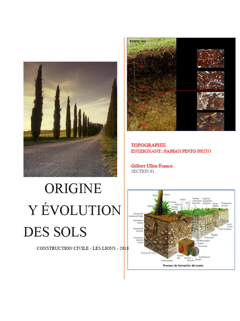 Origine et évolution des sols | PDF | Sol (pédologie) | Sciences physiques