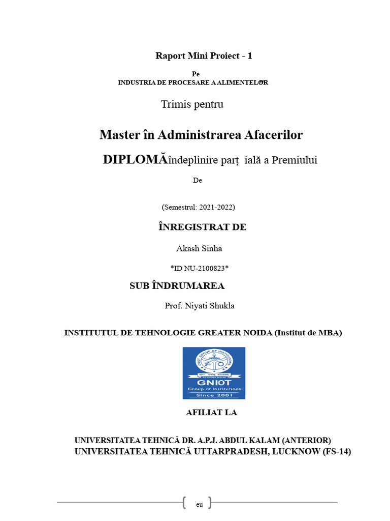 Mini Proiect MBA | PDF