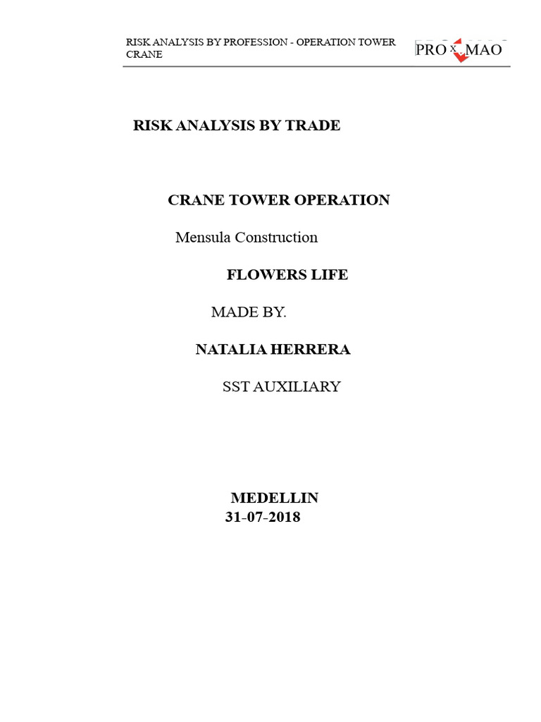 Tower Crane Operation Risk Analysis | PDF | Risk | Crane (Machine)