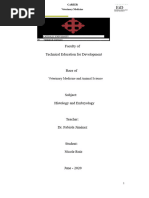 Duck Reproductive Anatomy Overview | PDF | Testicle | Ovary
