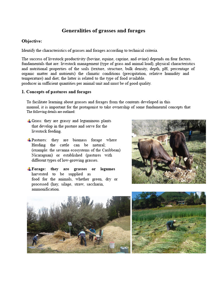 Characteristics of Grasses and Forages | PDF | Carbohydrates | Soil