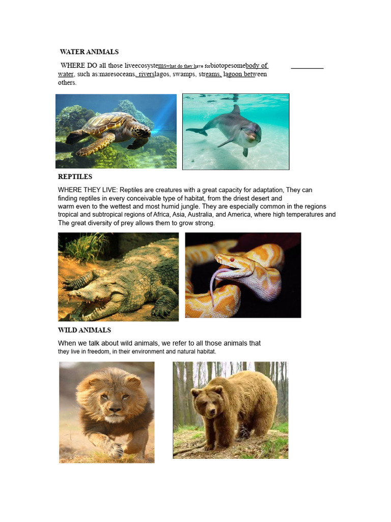 Types of Animals and Their Habitats | PDF