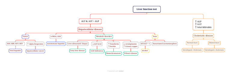 Comprehensive Guide to Liver Function Tests | PDF