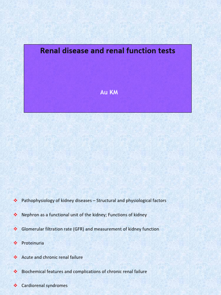 Renal Disease and Function Tests Overview | PDF | Kidney | Creatinine