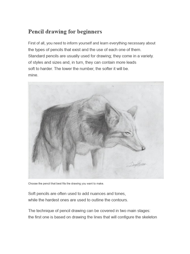 Beginner's Guide to Pencil Drawing Techniques | PDF | Drawing | Pencil
