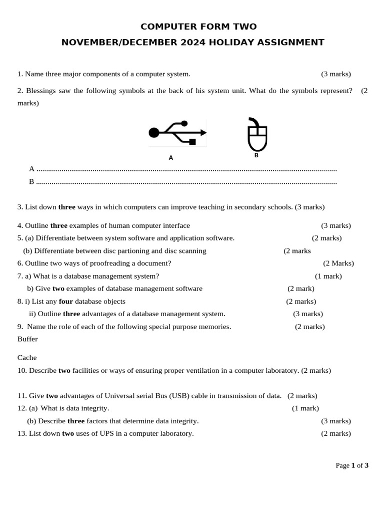 Computer Holiday Assignment 2024 | PDF | Databases | Usb
