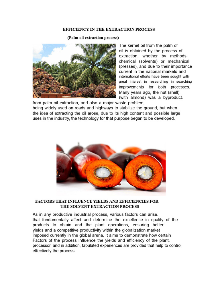 Optimizing Palm Oil Extraction Efficiency | PDF | Steam | Mill (Grinding)