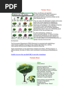 Kalachuchi Tree: A Philippine Icon | PDF