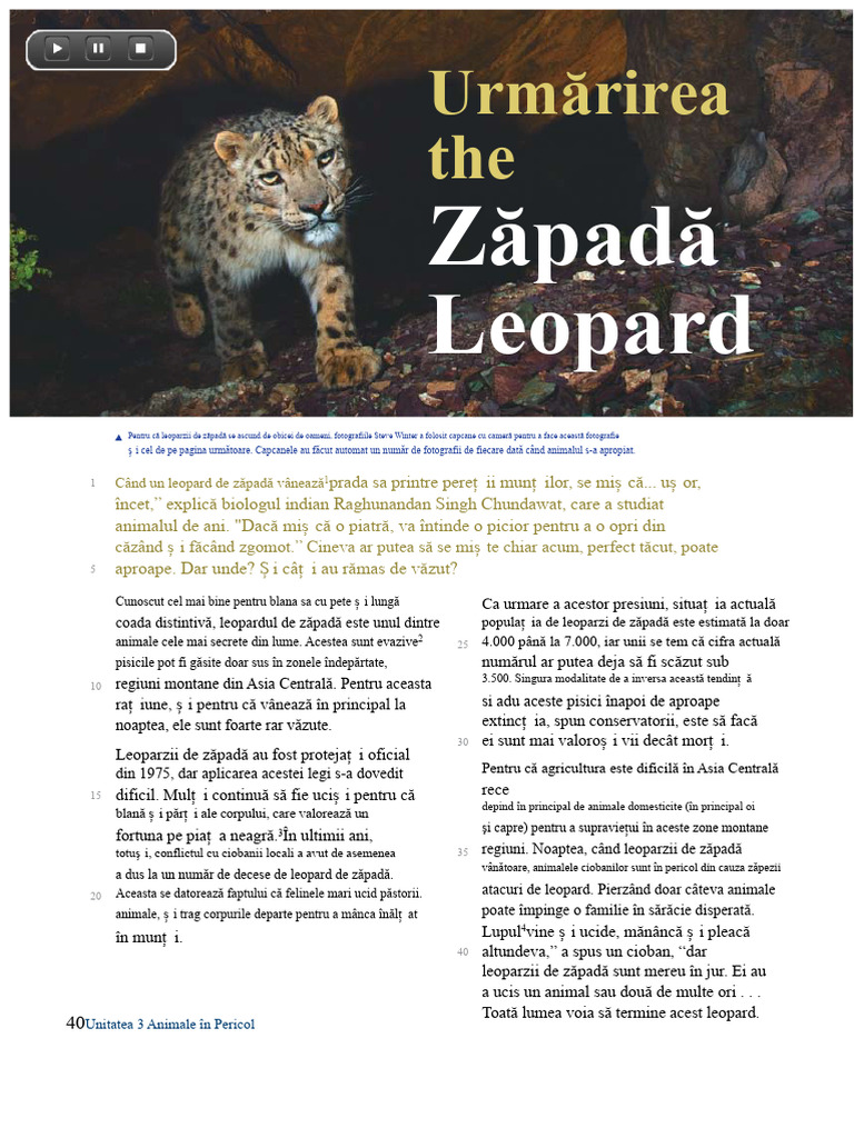 Zăpadă Leopard: Urmărirea The | PDF