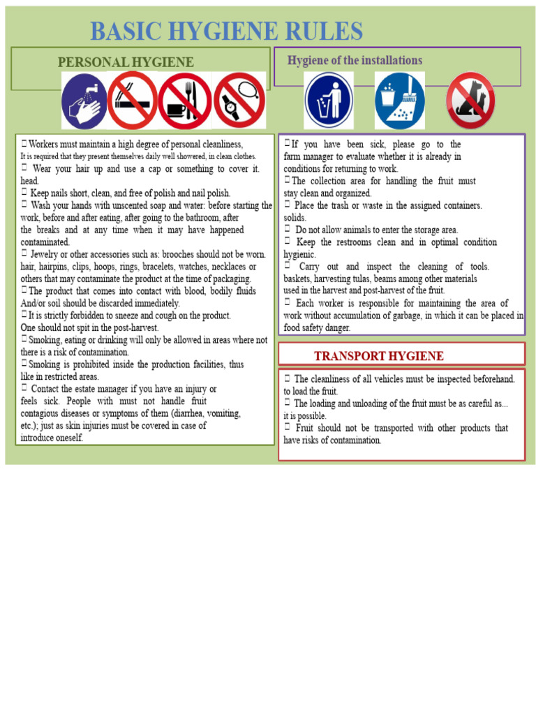 Hygiene Standards | PDF | Hygiene | Public Health