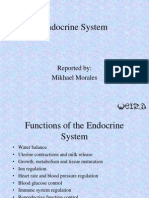 Endocrine System 2