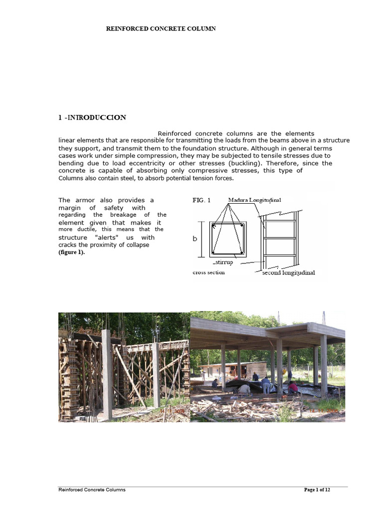 Reinforced Concrete Columns | PDF | Buckling | Reinforced Concrete