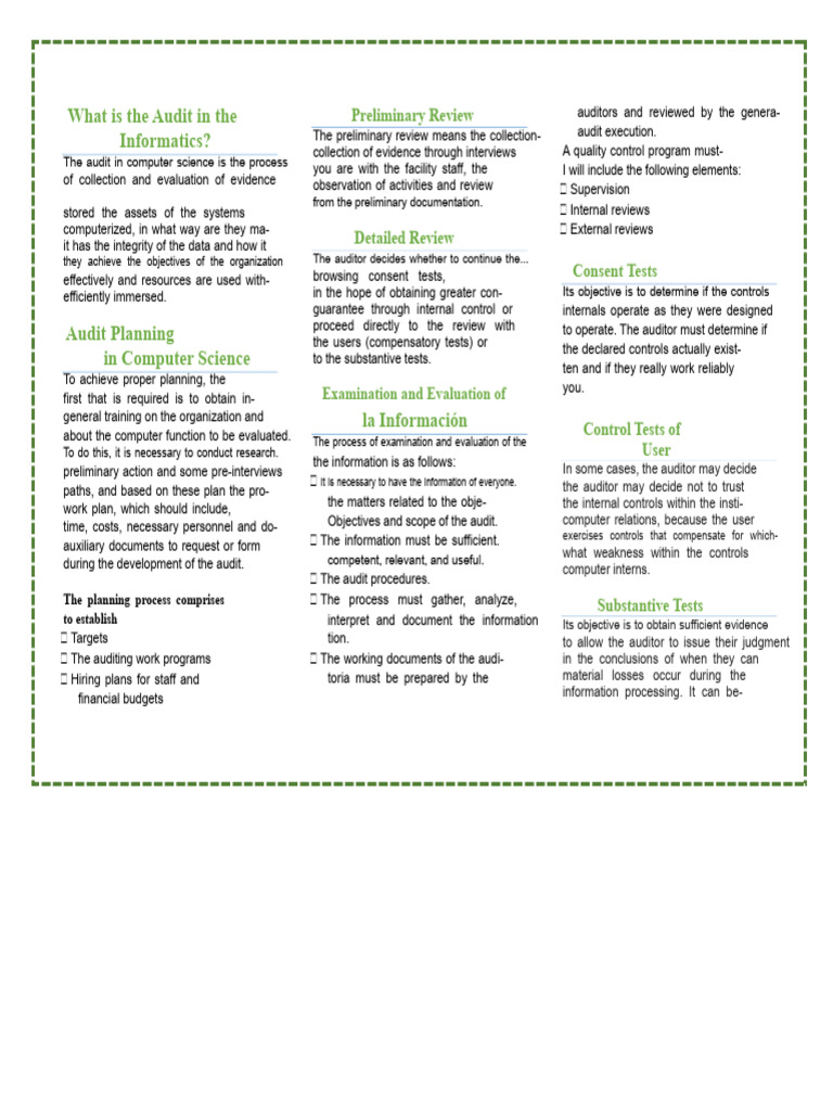 Computer Science Audit Planning Guide | PDF | Audit | Business
