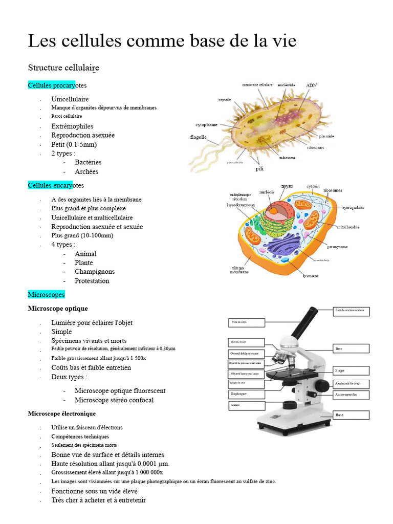 Structure et types de cellules vivantes | PDF | Cellule (Biologie ...
