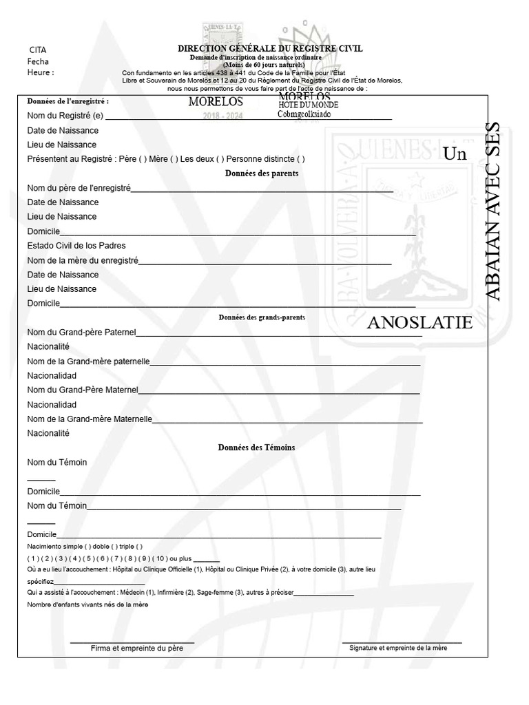 Demande d'inscription de naissance Morelos | PDF | Certificat de ...