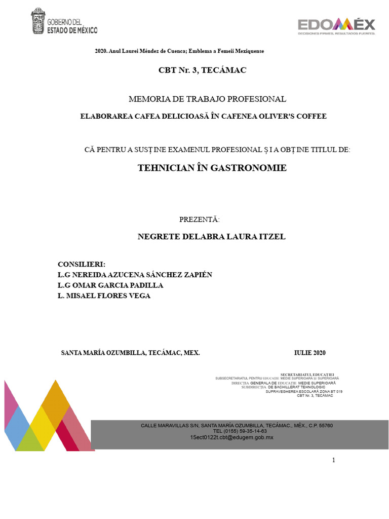 Exemplu de Memorie Profesională de Lucru | PDF