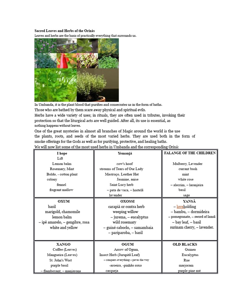 Umbanda's Sacred Herbs and Their Uses | PDF