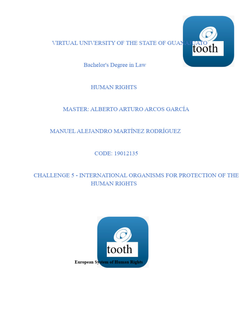 International Human Rights Systems Overview | PDF | Supreme Court Of ...