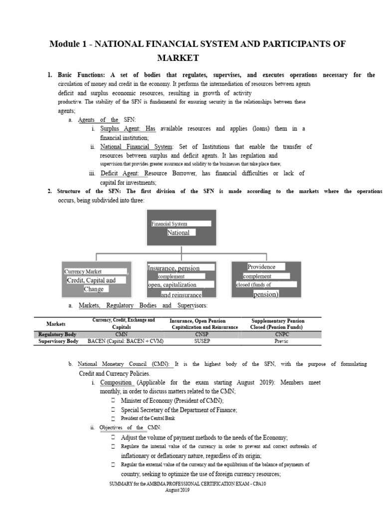 National Financial System Overview | PDF | Financial Risk | Stocks