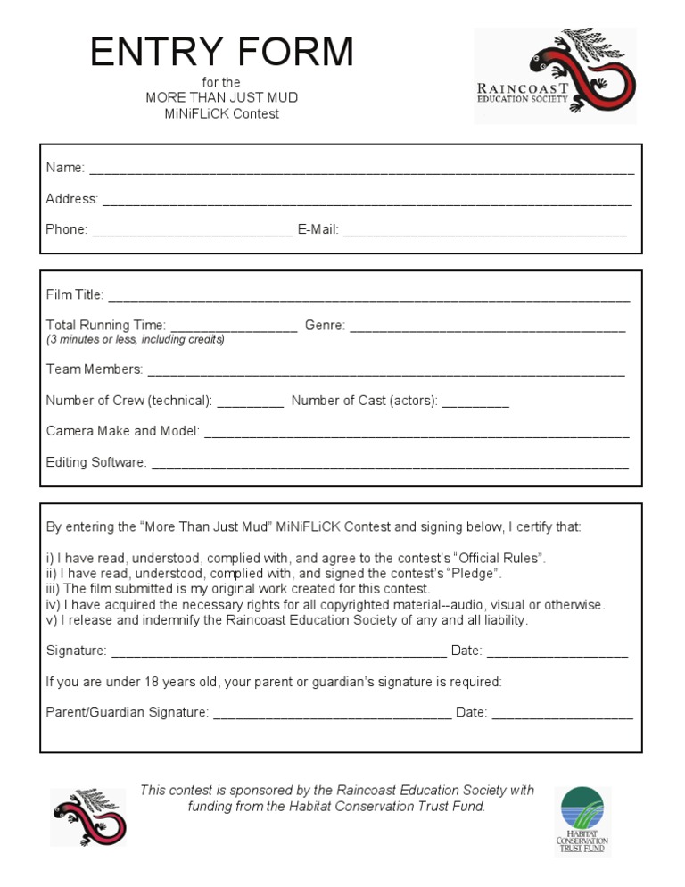 Entry Form | PDF | Games & Activities