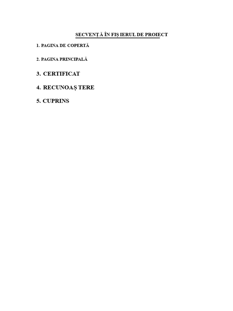 Format Proiect Minor | PDF