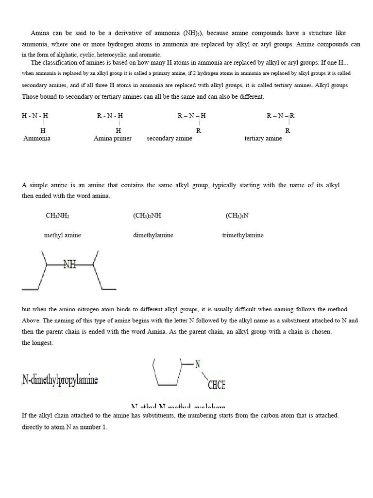 Understanding Amines: Types and Reactions | PDF | Amine | Chemical ...