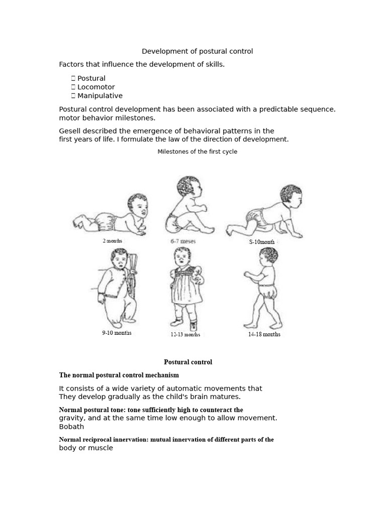 Postural Control Development in Children | PDF | Anatomical Terms Of ...