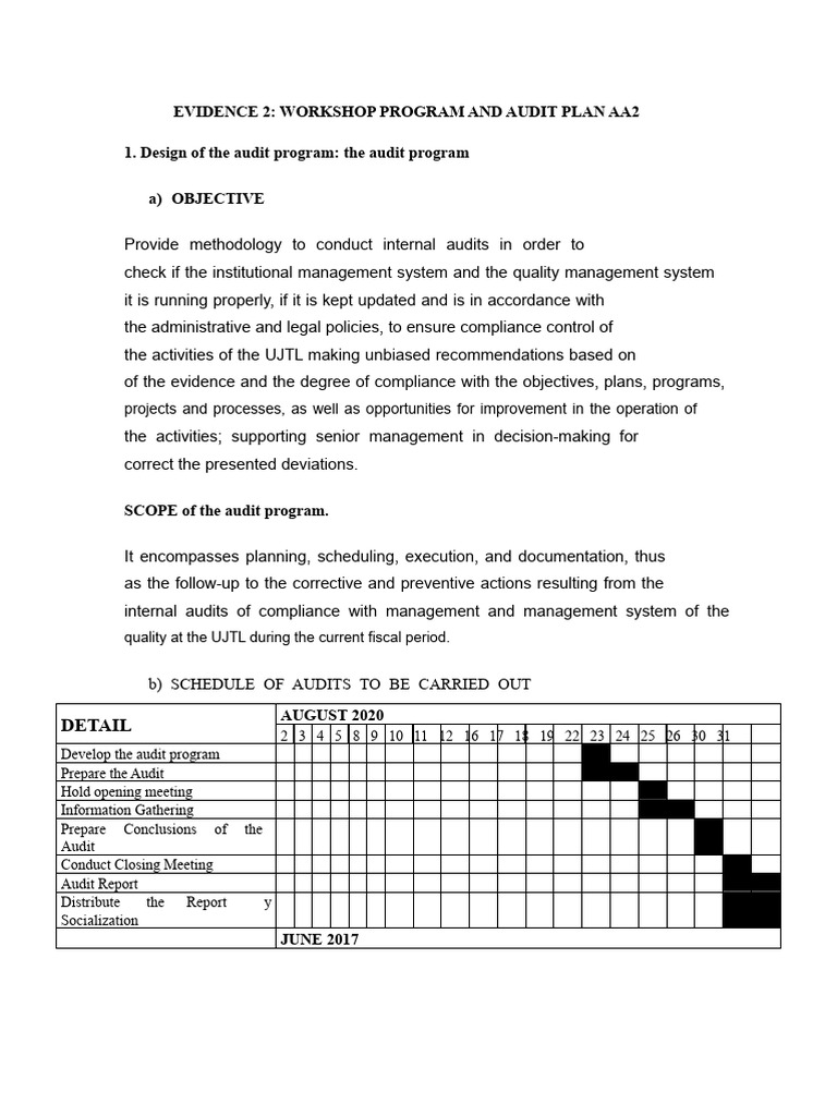 Internal Audit Program and Plan Guide | PDF | Audit | Internal Audit