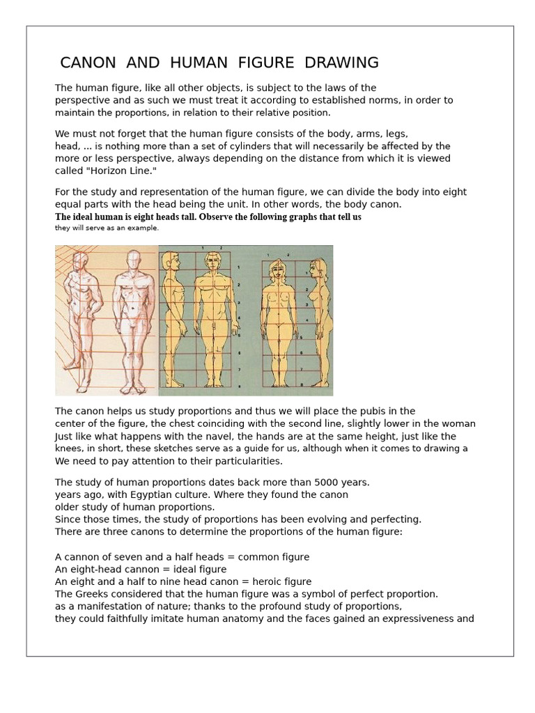 Human Figure Drawing Canon Explained | PDF | Arm | Elbow