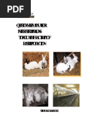 Rabbit Showmanship Study Guide | PDF | Rabbit | Mammals