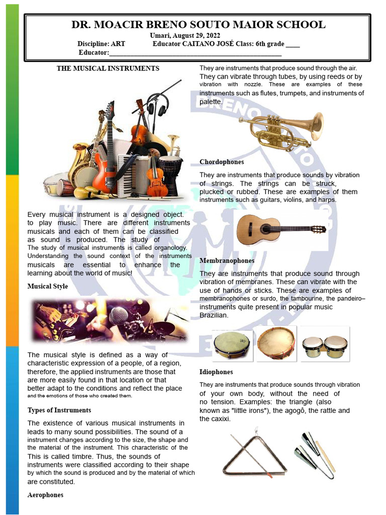 Art and Music | PDF | Musical Instruments | String Instruments