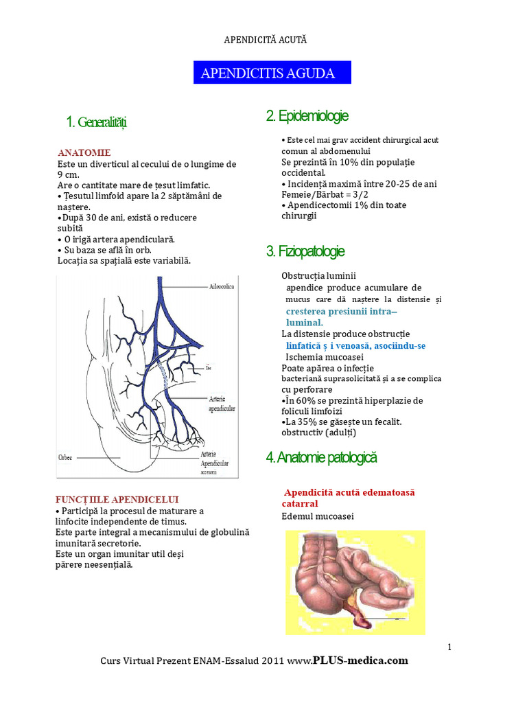 Apendicită Acută | PDF