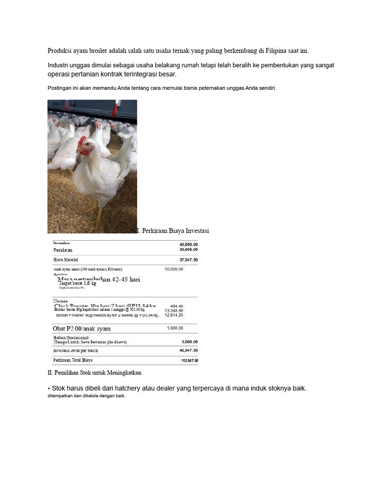 Peternakan Ayam (Broiler) | PDF