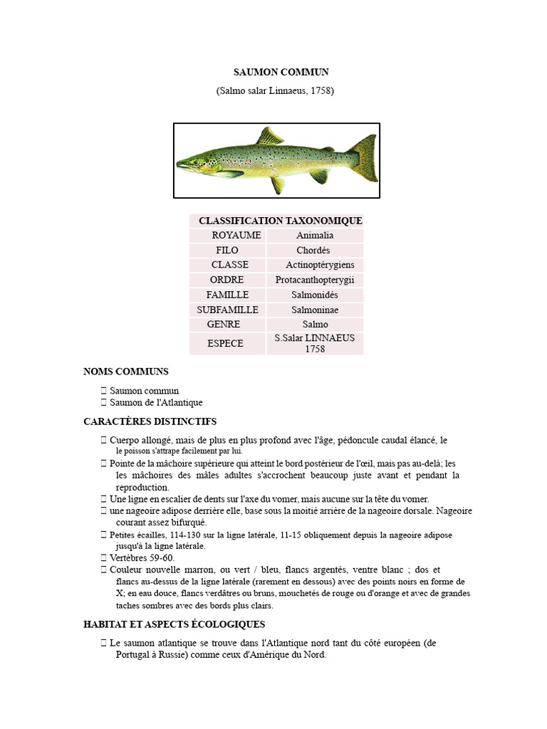 Saumon commun : caractéristiques et habitat | PDF | Saumon | Poisson